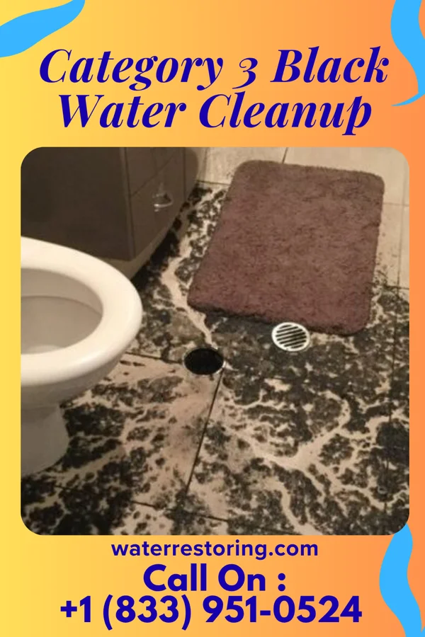Category 3 Black Water Cleanup in Kingston, OH