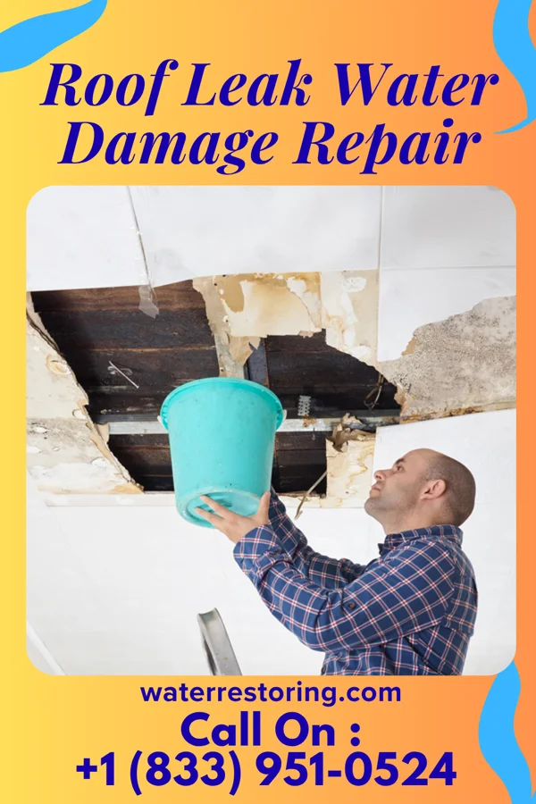 Roof Leak Water Damage Repair in Kingston, OH