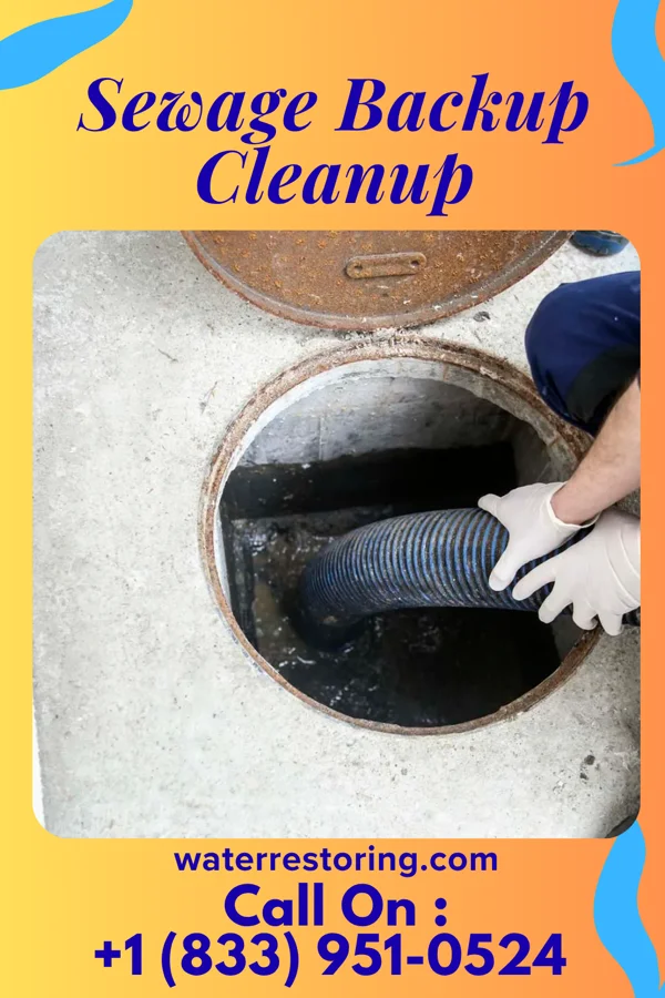 Sewage Backup Cleanup in Kingston, OH